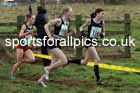 Girls Under-15s 2024 Northern Cross Country Champs., Sedgefield. Photo: David T. Hewitson/Sports for All Pics